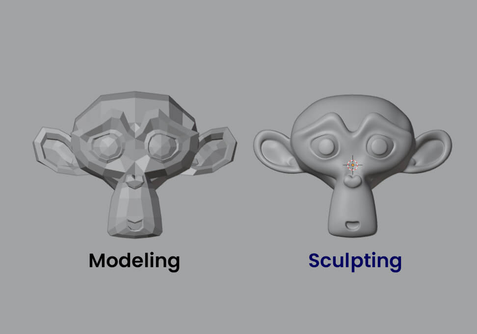 Difference Between Modeling Vs Sculpting